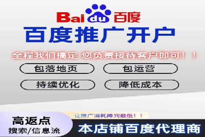百度广告投放策略：成功案例解析